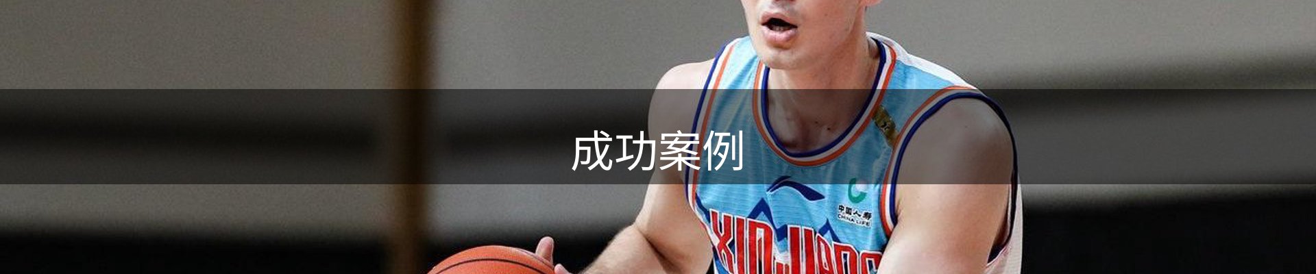 成功案例